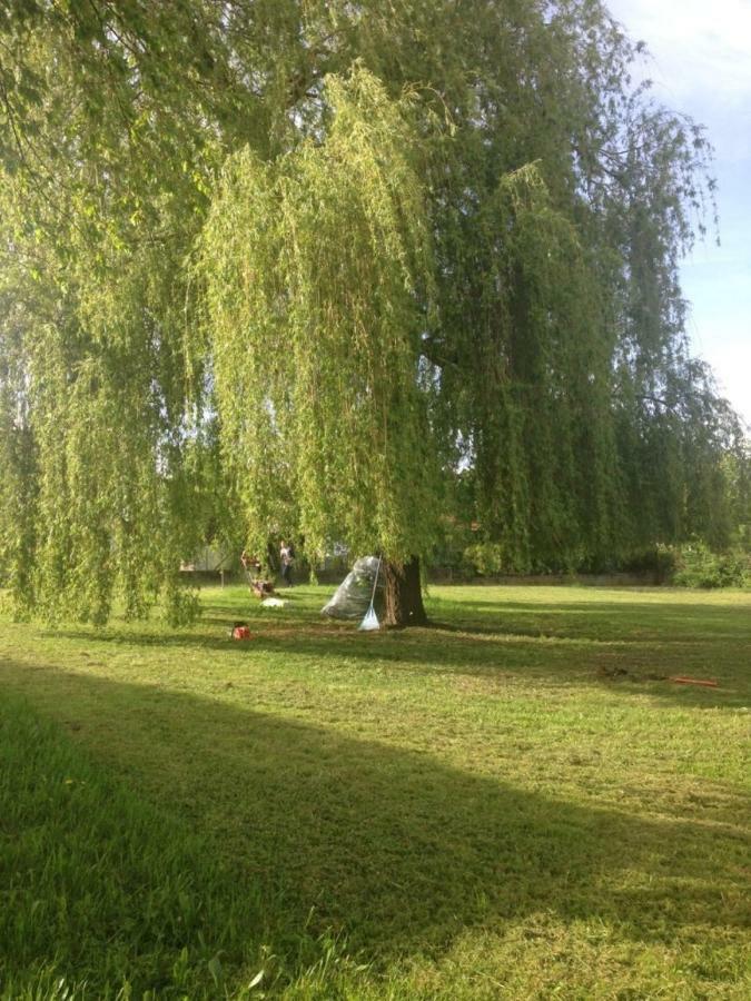 Bienvenue Chez Zina Otel Vesoul Dış mekan fotoğraf